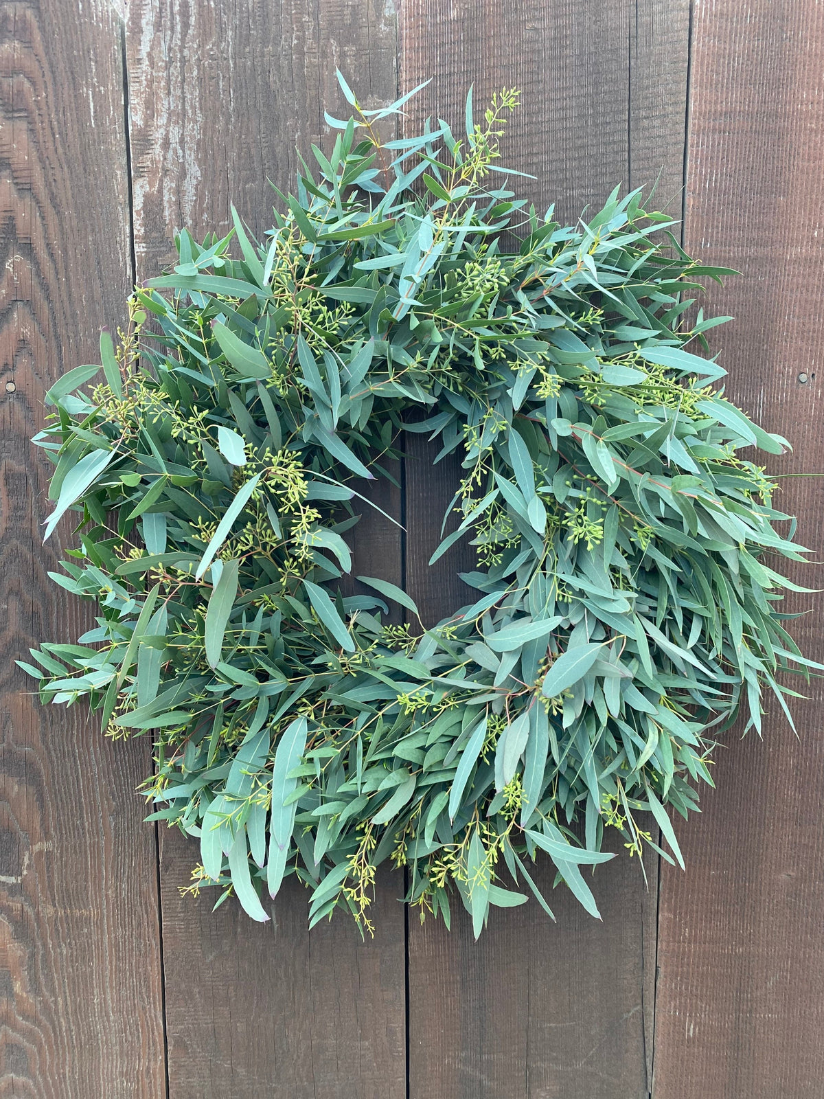 Fresh Seeded & Parvifolia Eucalyptus Wreath – Year-Round Front Door Decor