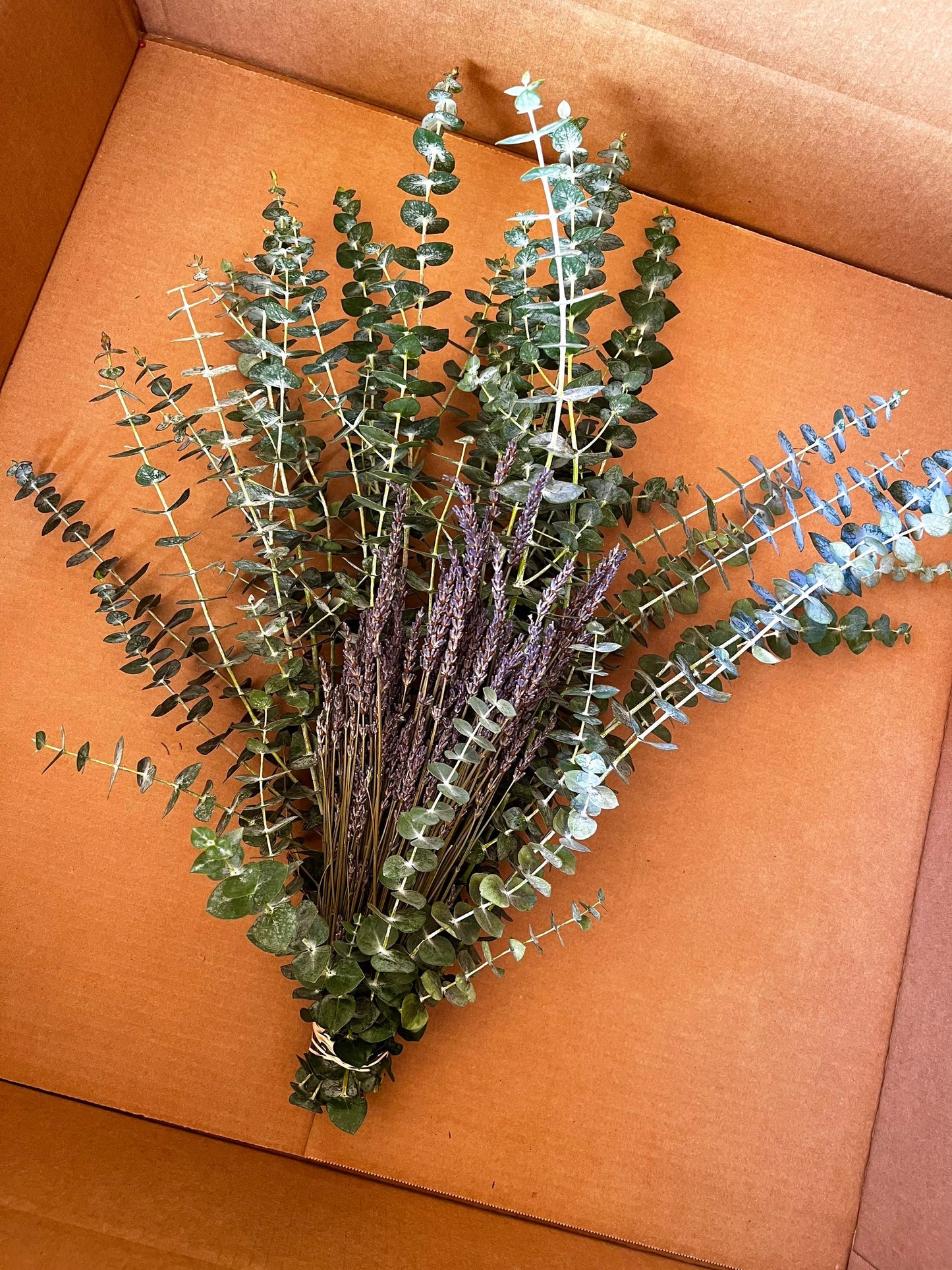 Eucalyptus Dried Lavender Bundle Decor Shower Aroma Therapy, Spa, Natural Decongestant, Fragrance, Wedding Greenery Wedding Valentines Gift