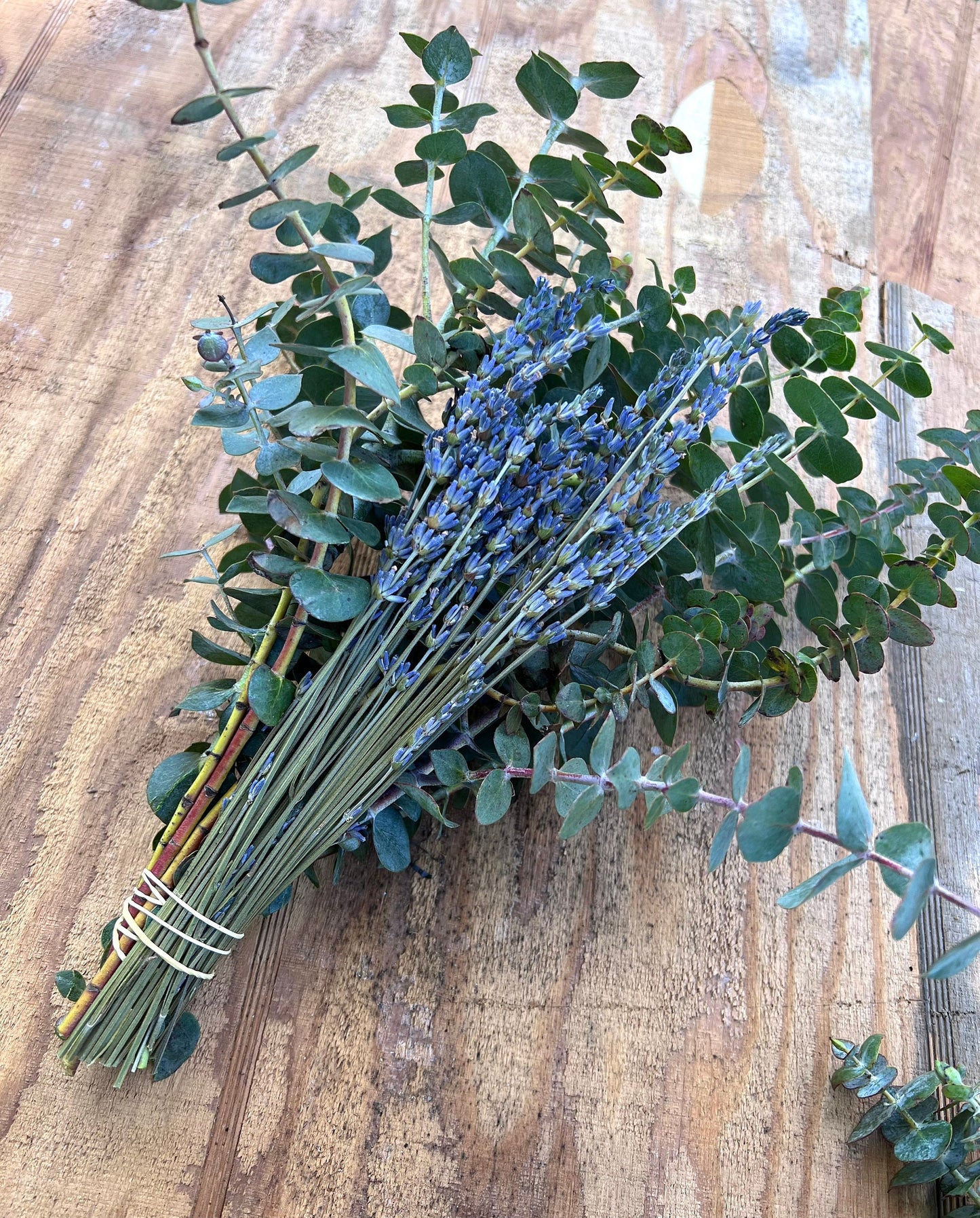 Eucalyptus Dried Lavender Bundle Decor Shower Aroma Therapy, Spa, Natural Decongestant, Fragrance, Wedding Greenery Wedding Valentines Gift