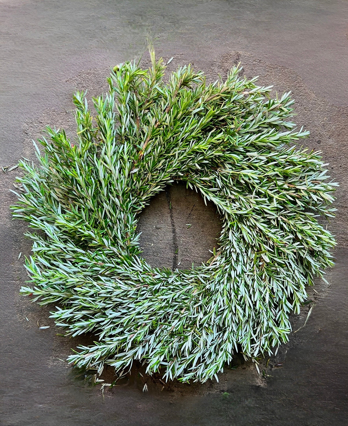 Fresh Rosemary Wreath – Aromatic Kitchen & Front Door Decor