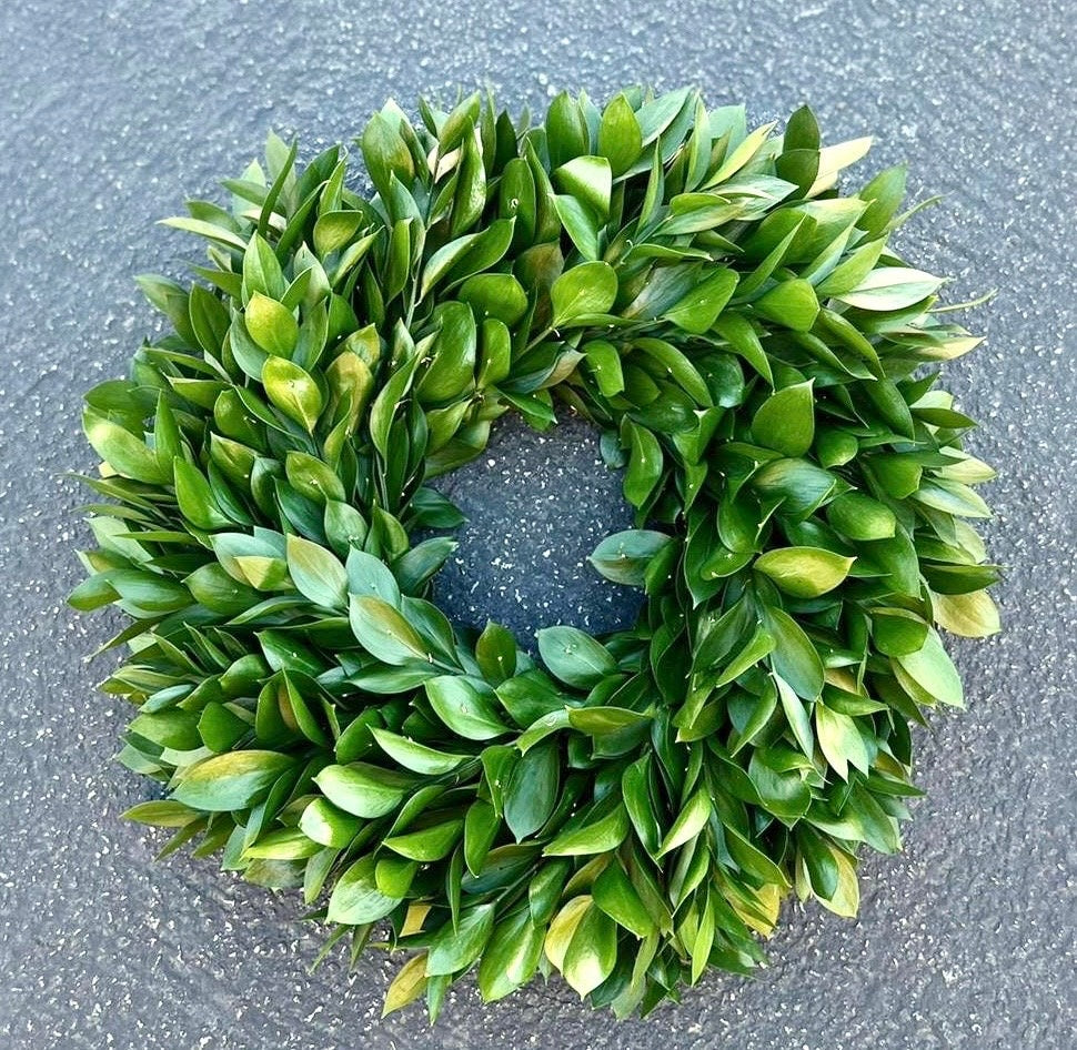 Fresh Ruscus Wreath – Green Farmhouse Door & Kitchen Decor