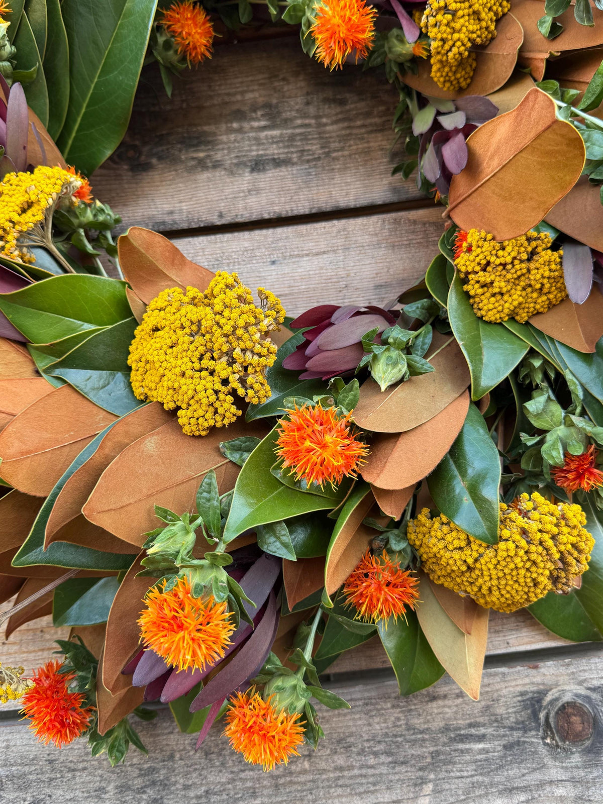 Fresh Real Magnolia, safari, cartamo, yarrow– Handcrafted Wreath