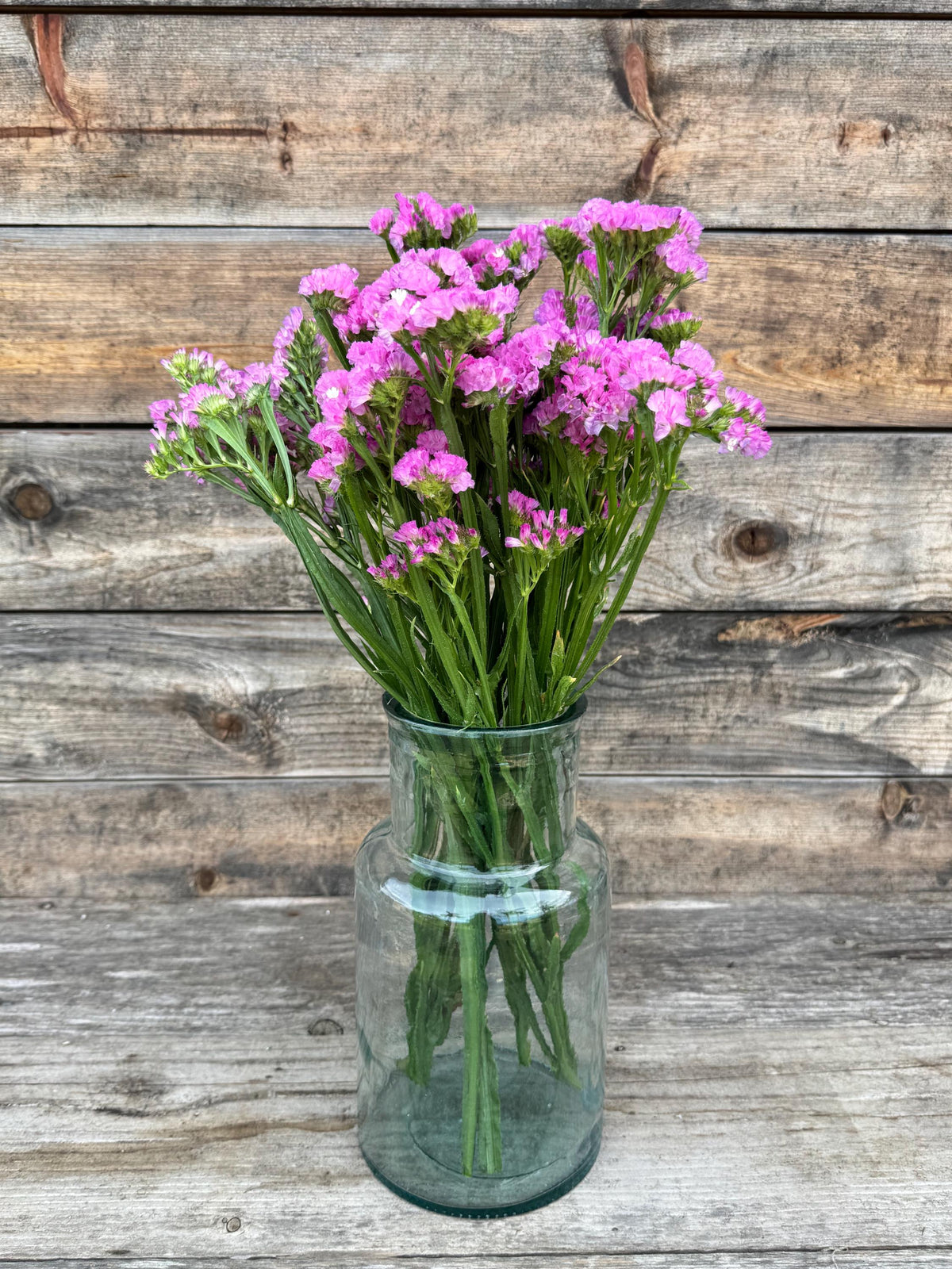 Large Hot Pink Statice Bunch – Dried Floral Arrangements, Vase Filler