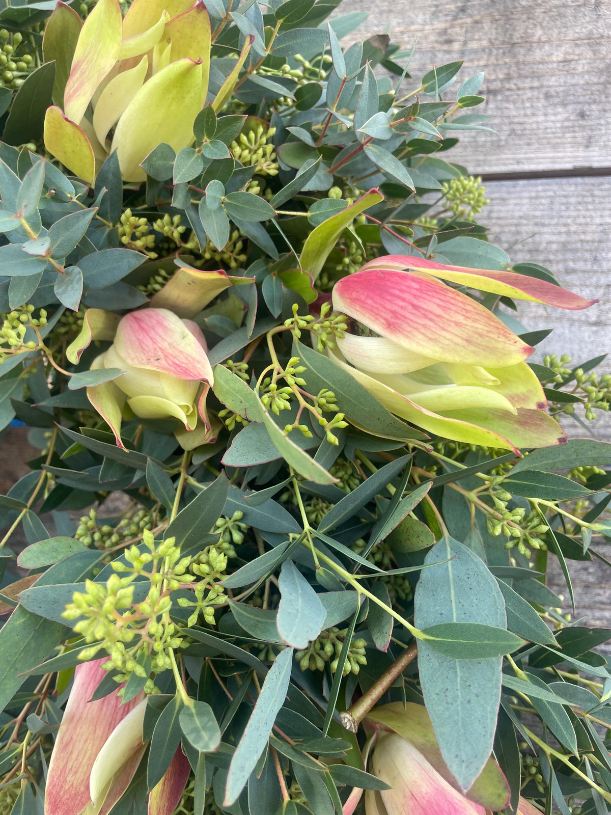 Fresh Eucalyptus & Yellow Safari Wreath – Front Door – Home Decor