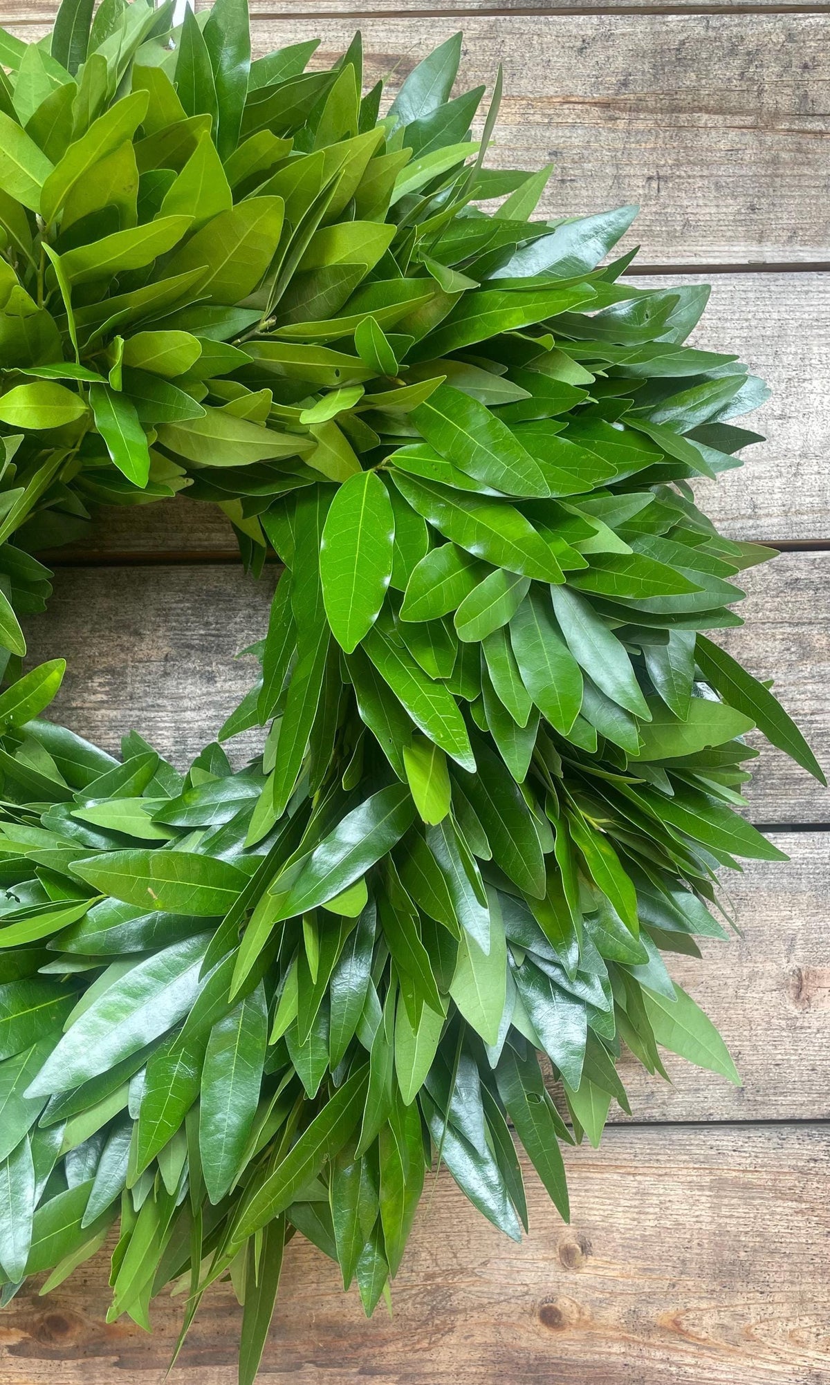 Fresh Bay Leaf Wreath – Aromatic Handcrafted Home Decor, Front Door, Fall