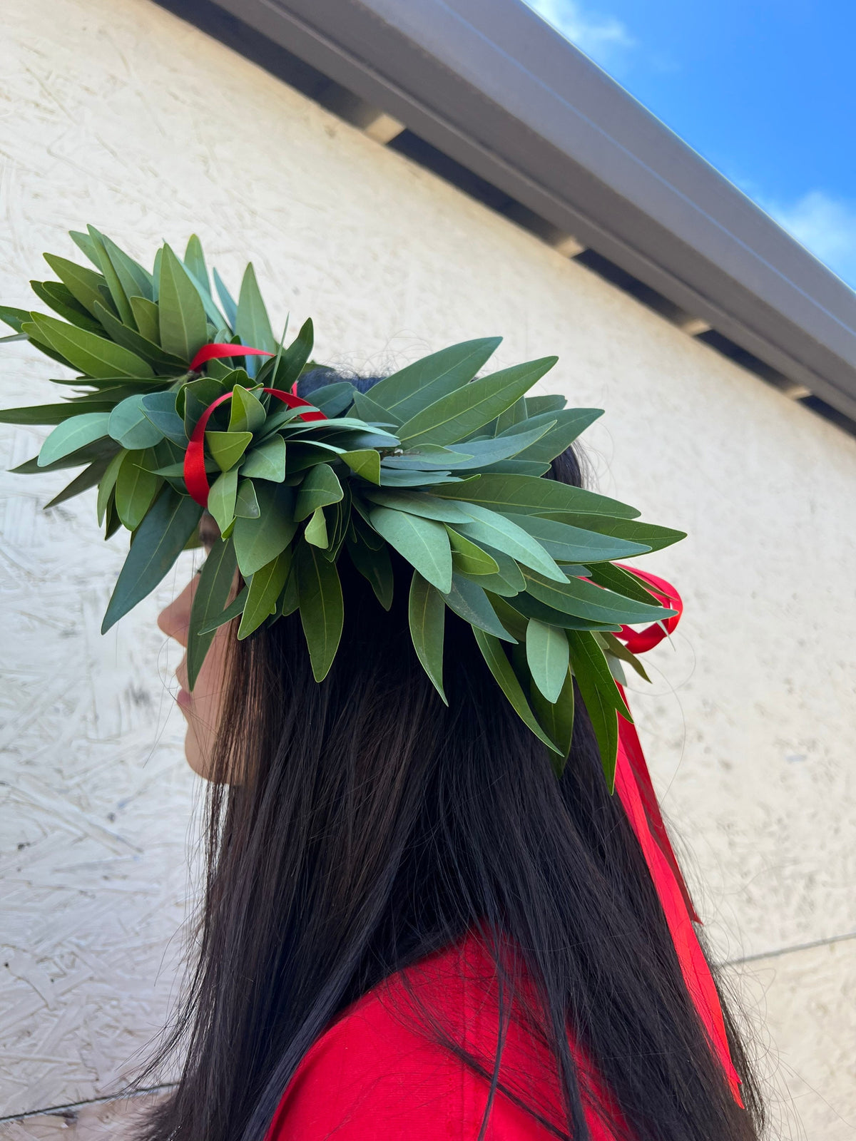 Fresh Bay Leaf Laurel Crown with Red Ribbon – Graduation Headpiece
