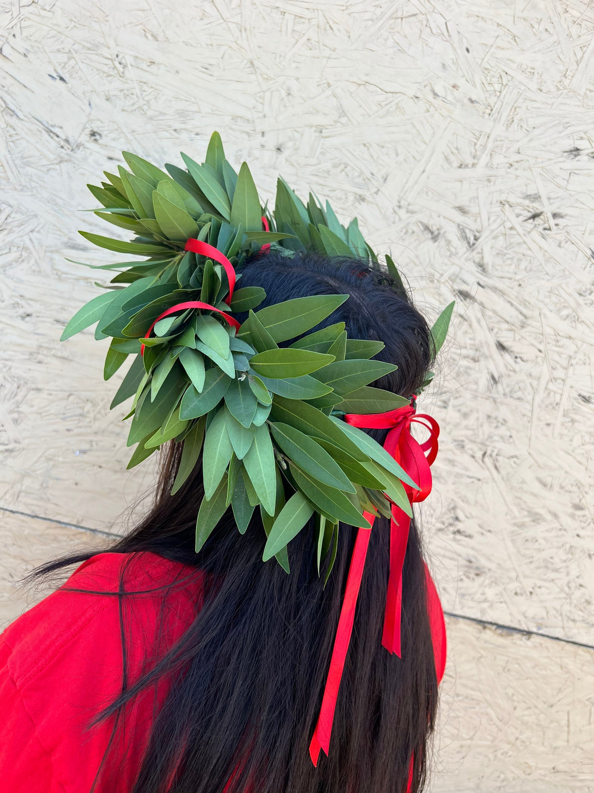 Fresh Bay Leaf Laurel Crown with Red Ribbon – Graduation Headpiece
