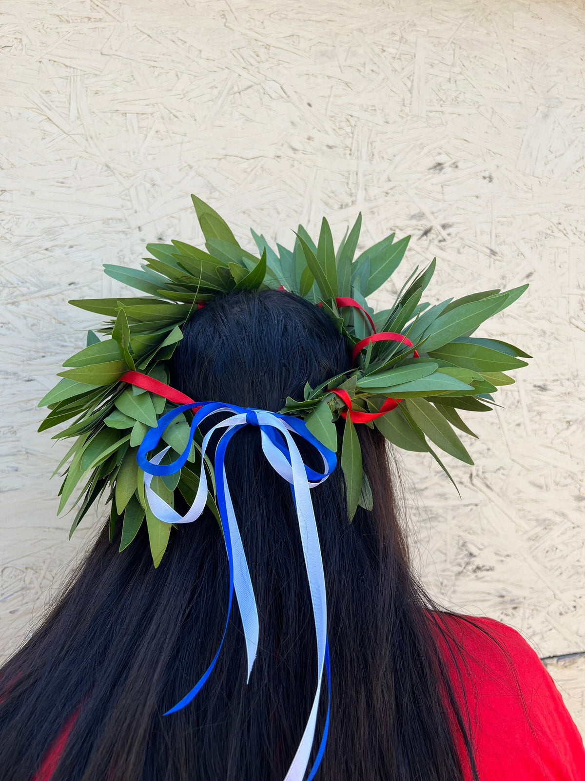 Fresh Bay Leaf Laurel Crown with Red Ribbon – Graduation Headpiece