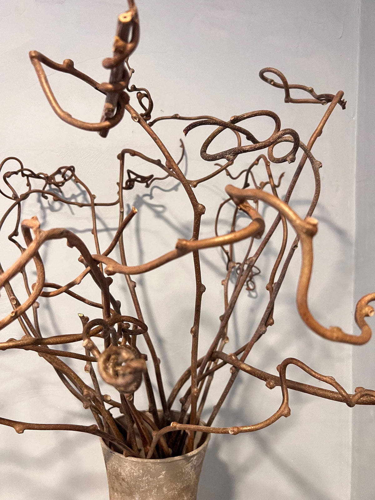 Dried Real Kiwi Vine Branches, Boho Centerpiece, Wedding, Event Decor