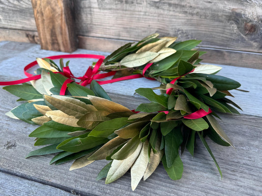 Fresh Green Gold Bay Leaf Laurel Crown