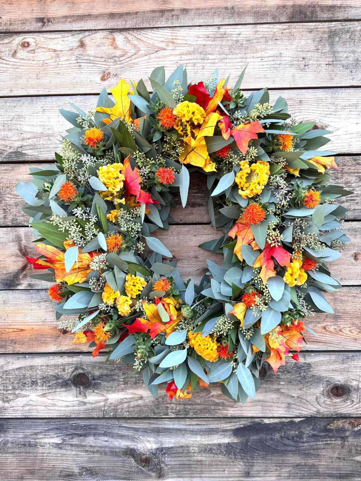 Fresh Real Eucalyptus Bayleaf Safflower and Fall Leaf Wreath – Front Door