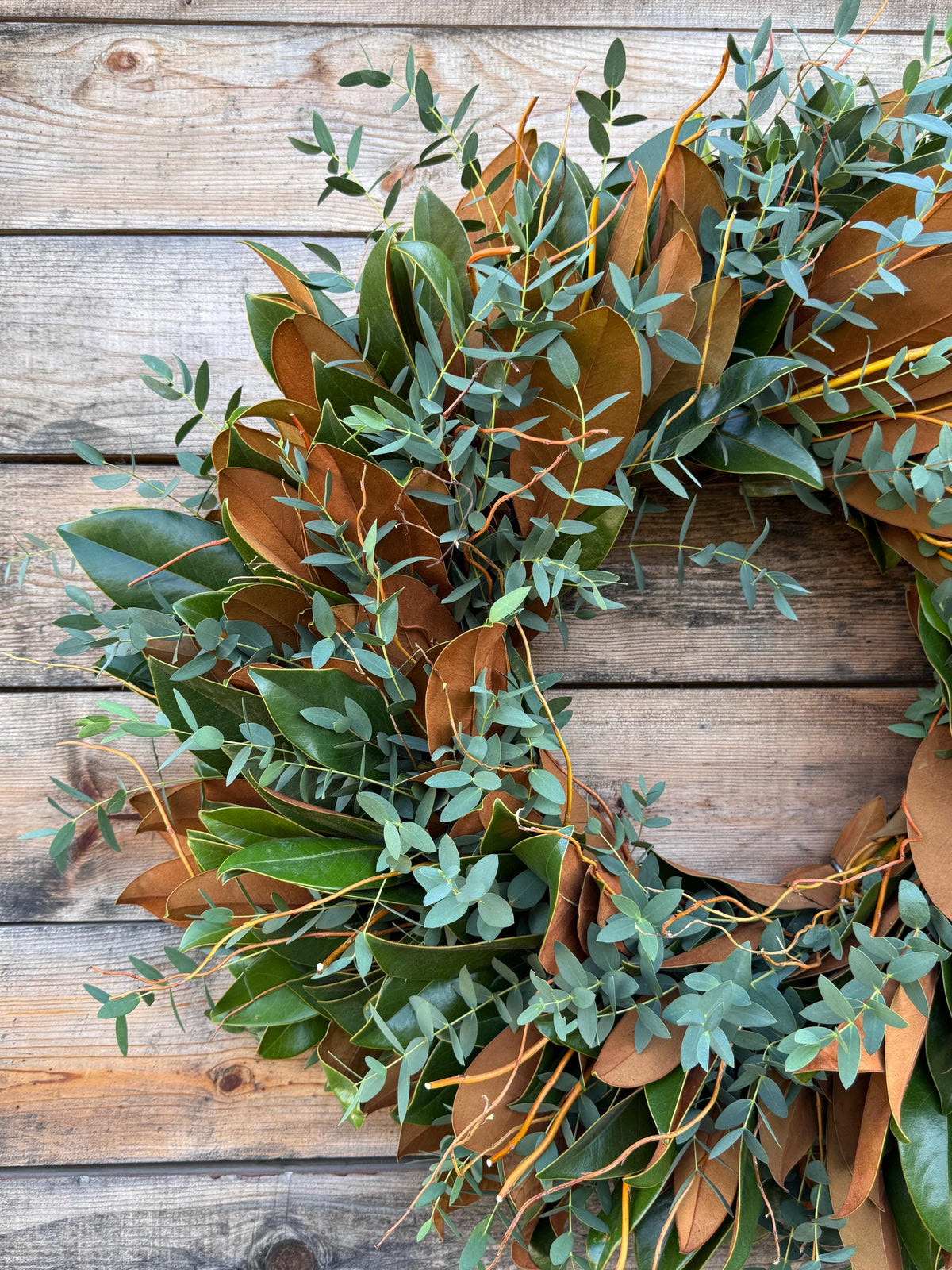 Fresh Magnolia, Curly Willow, Parvifolia – Aromatic – Handcrafted