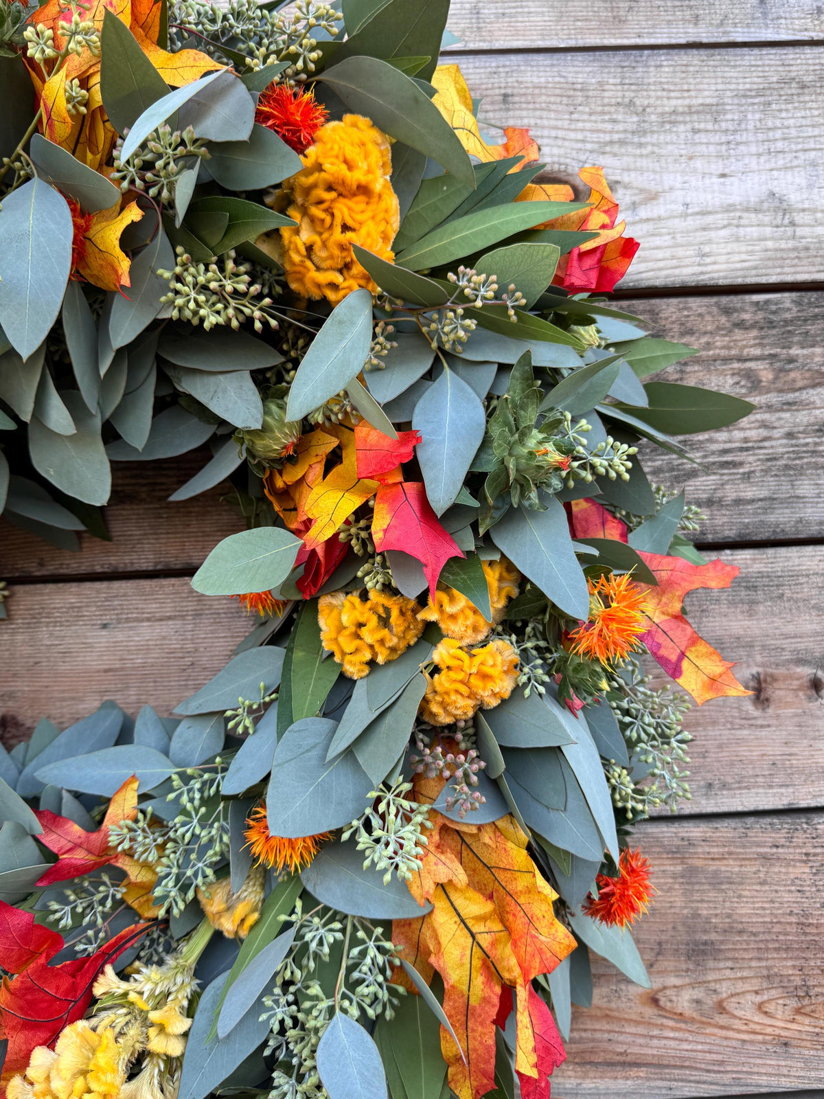 Fresh Real Eucalyptus Bayleaf Safflower and Fall Leaf Wreath – Front Door
