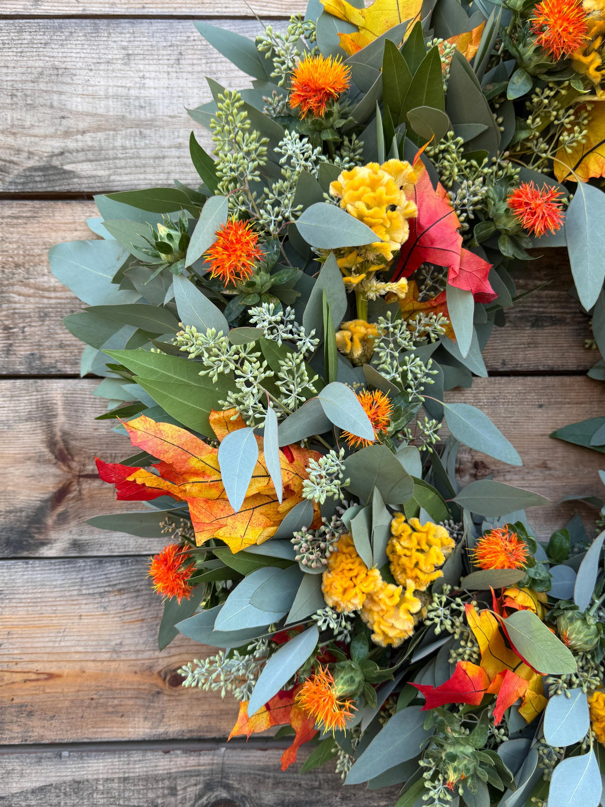 Fresh Real Eucalyptus Bayleaf Safflower and Fall Leaf Wreath – Front Door