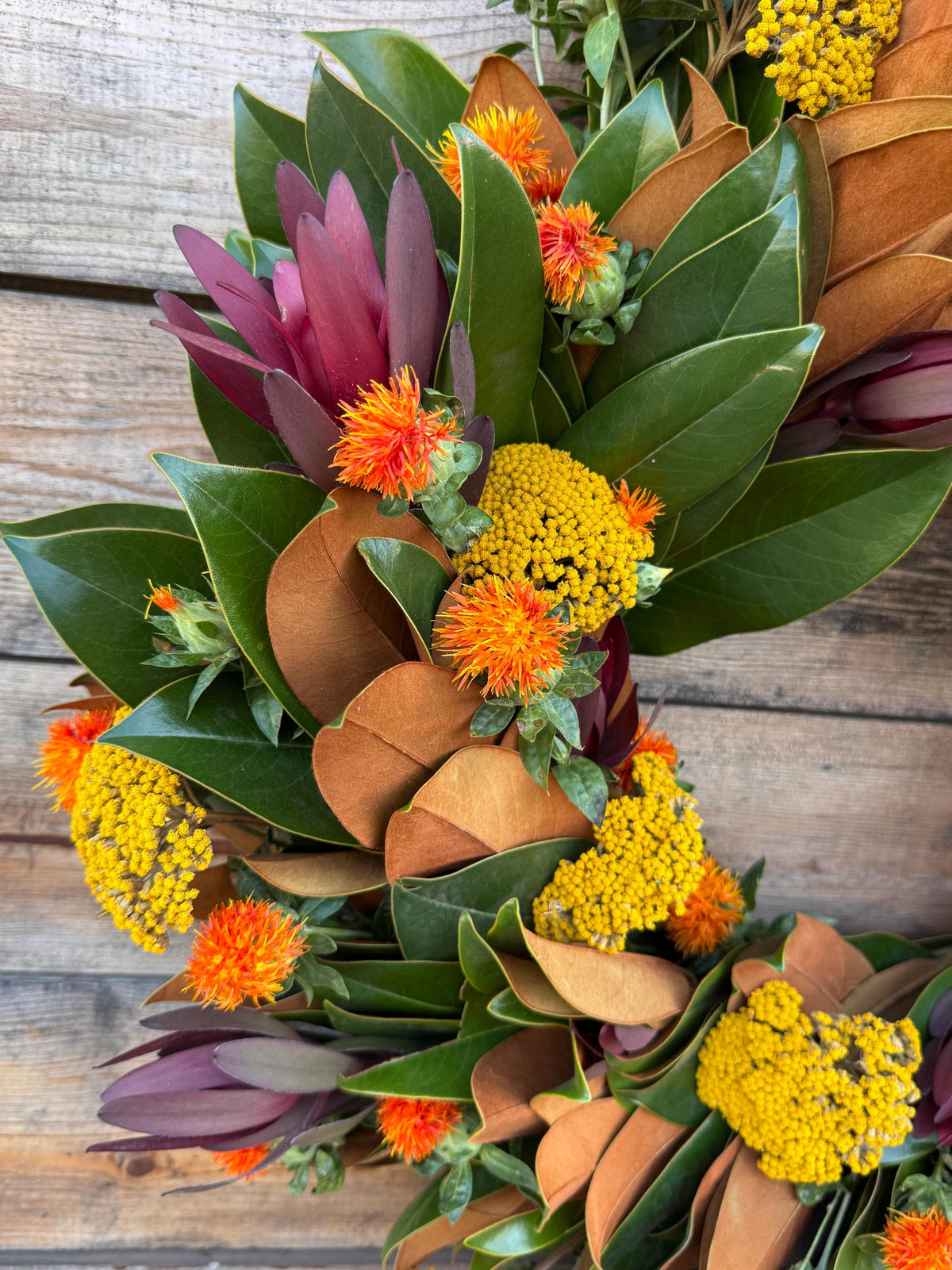 Fresh Real Magnolia, safari, cartamo, yarrow– Handcrafted Wreath