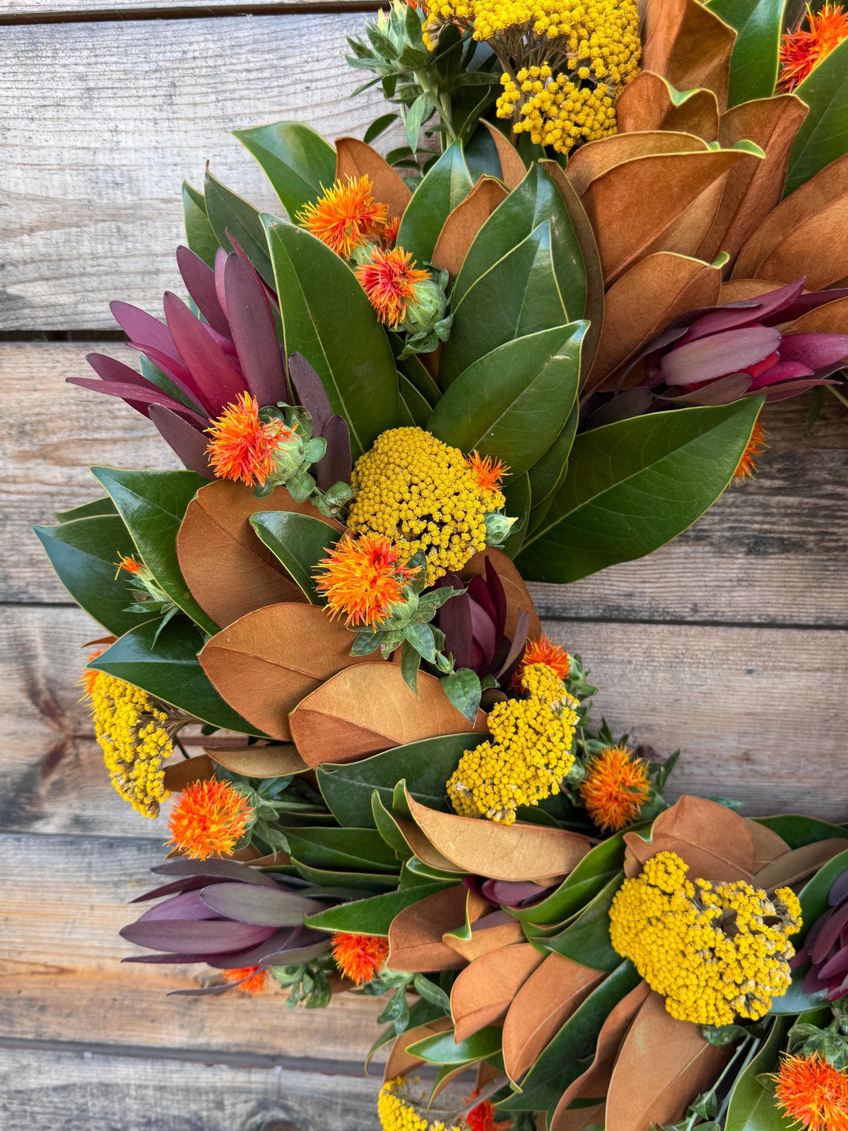 Fresh Real Magnolia, safari, cartamo, yarrow– Handcrafted Wreath