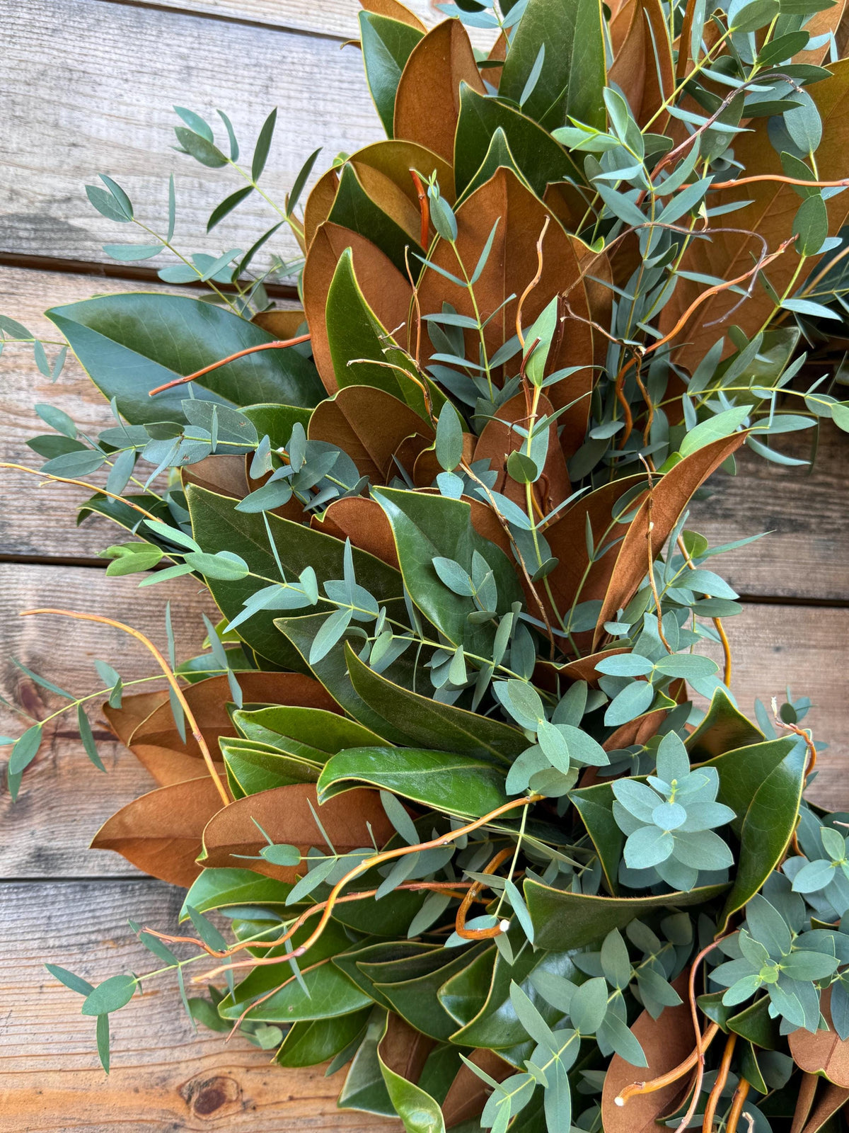 Fresh Magnolia, Curly Willow, Parvifolia – Aromatic – Handcrafted