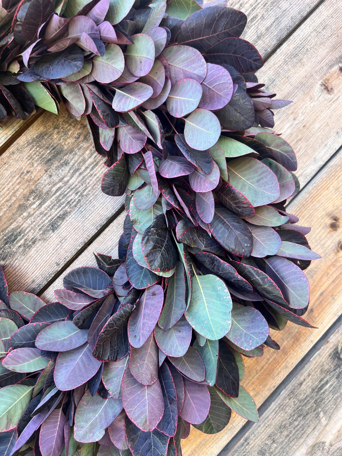 Fresh Smoke Bush Wreath – Fall Autumn Boho Home Decor