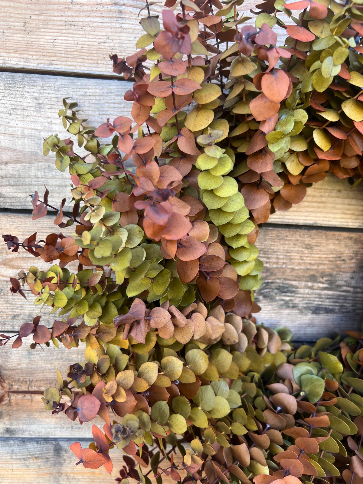 Preserved Eucalyptus Wreath – Yellow Red Boho Home Decor
