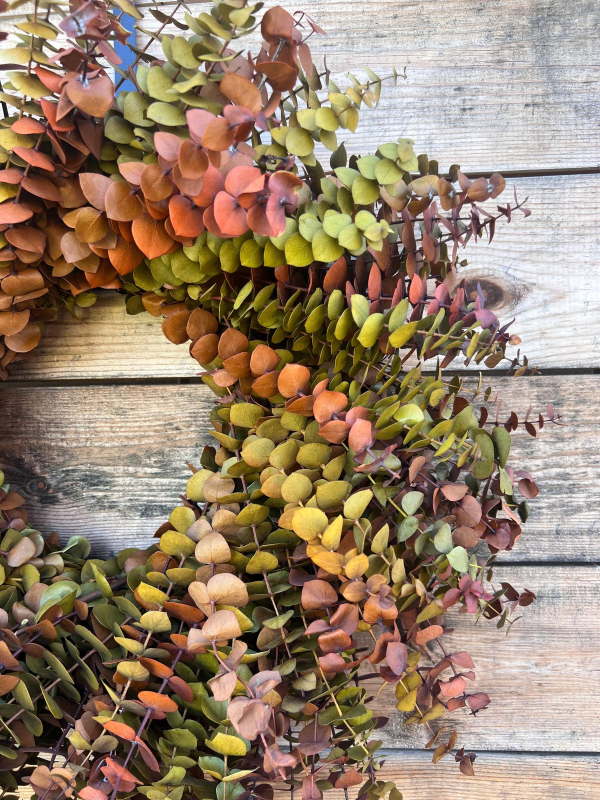 Preserved Eucalyptus Wreath – Yellow Red Boho Home Decor