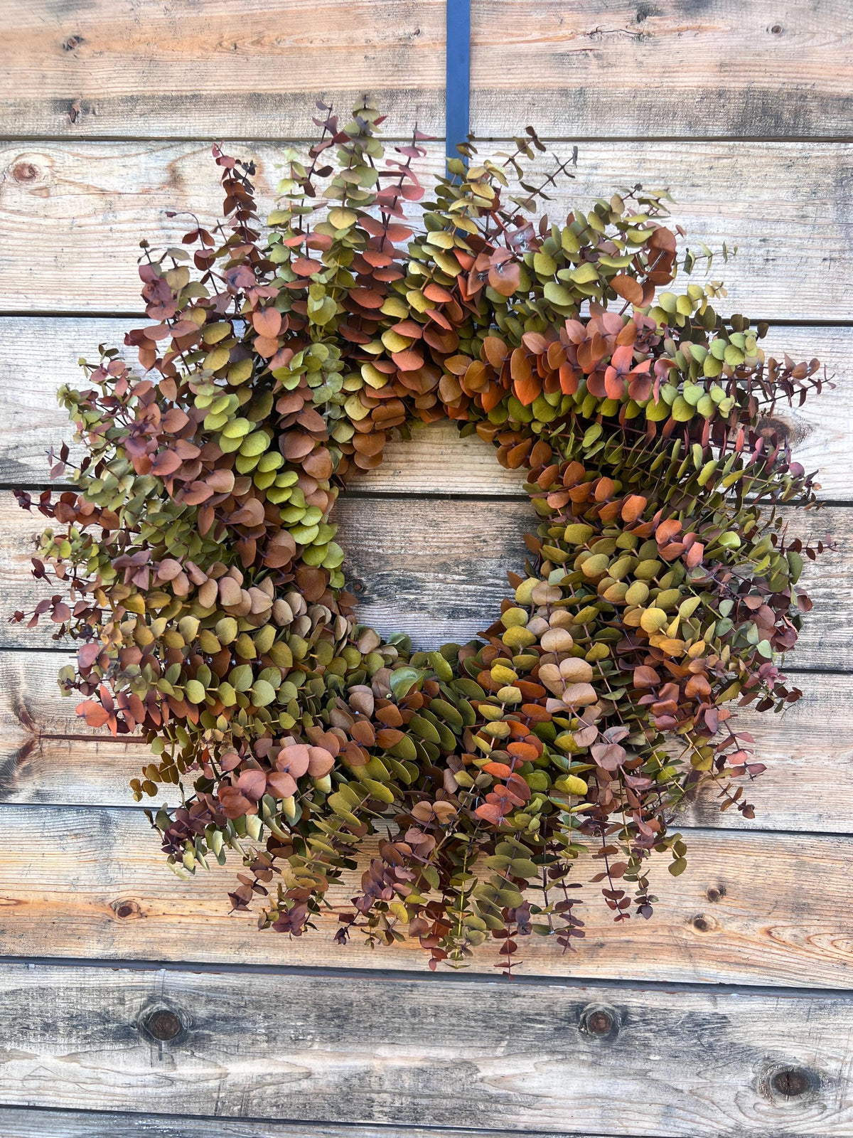 Preserved Eucalyptus Wreath – Yellow Red Boho Home Decor