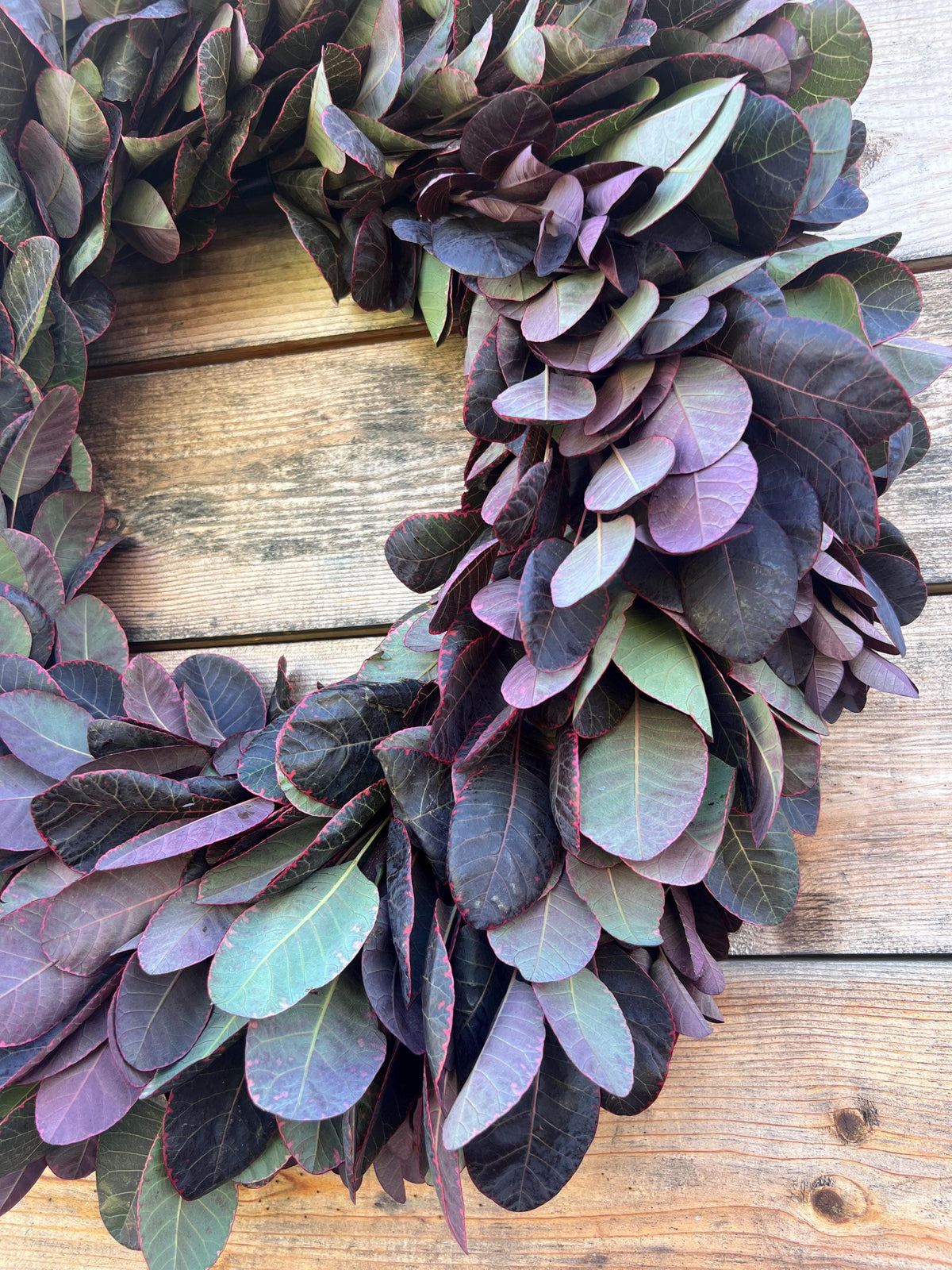 Fresh Smoke Bush Wreath – Fall Autumn Boho Home Decor