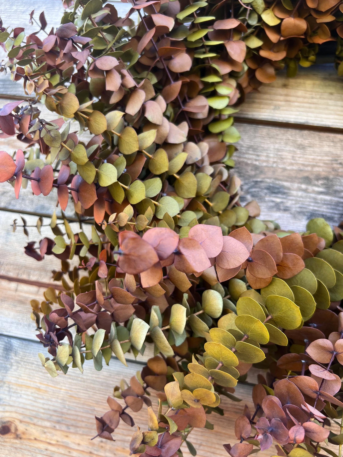 Preserved Eucalyptus Wreath – Yellow Red Boho Home Decor
