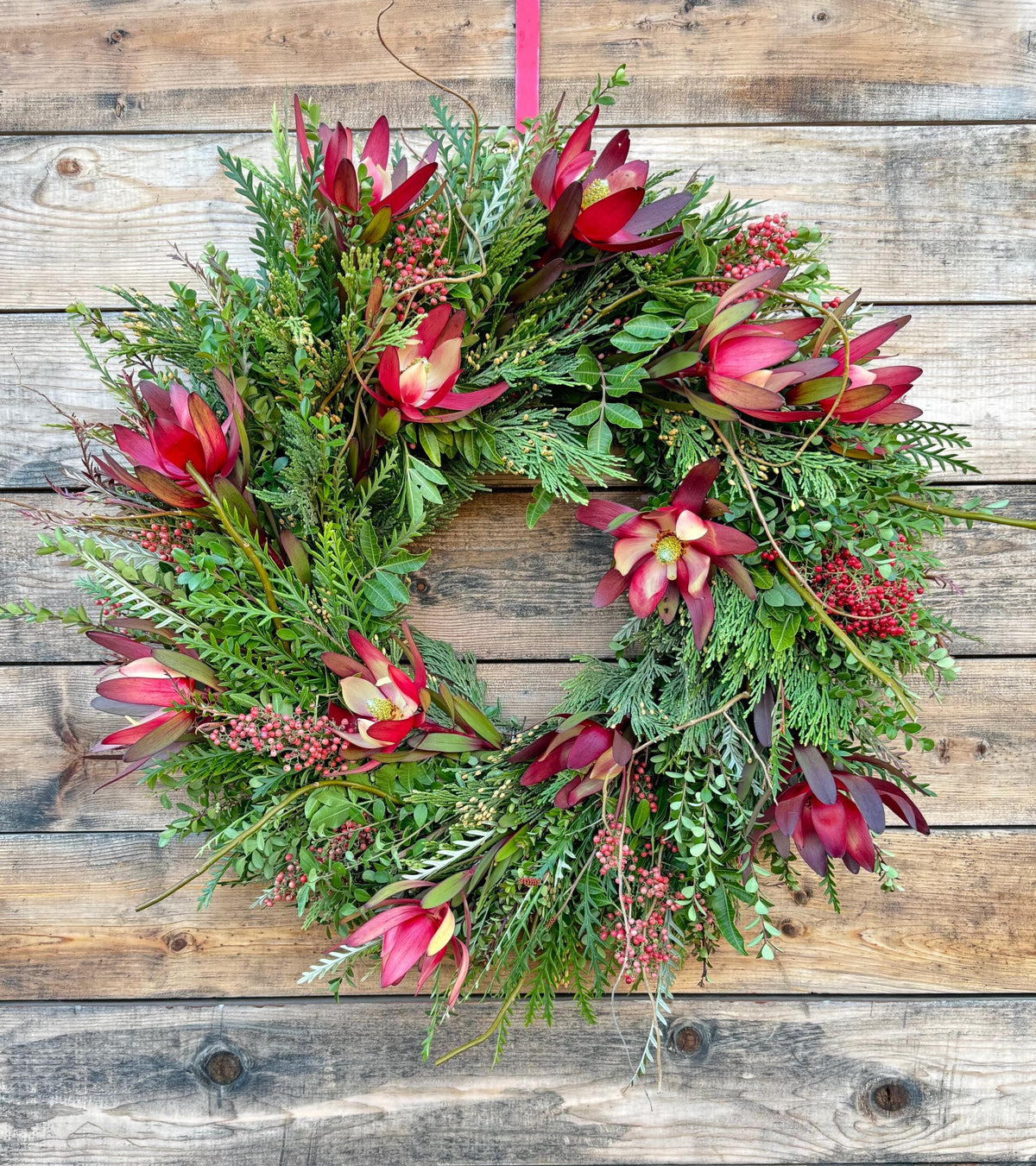 Fresh Mixed Evergreen Wreath, Eucalyptus, Boxwood, Red Protea