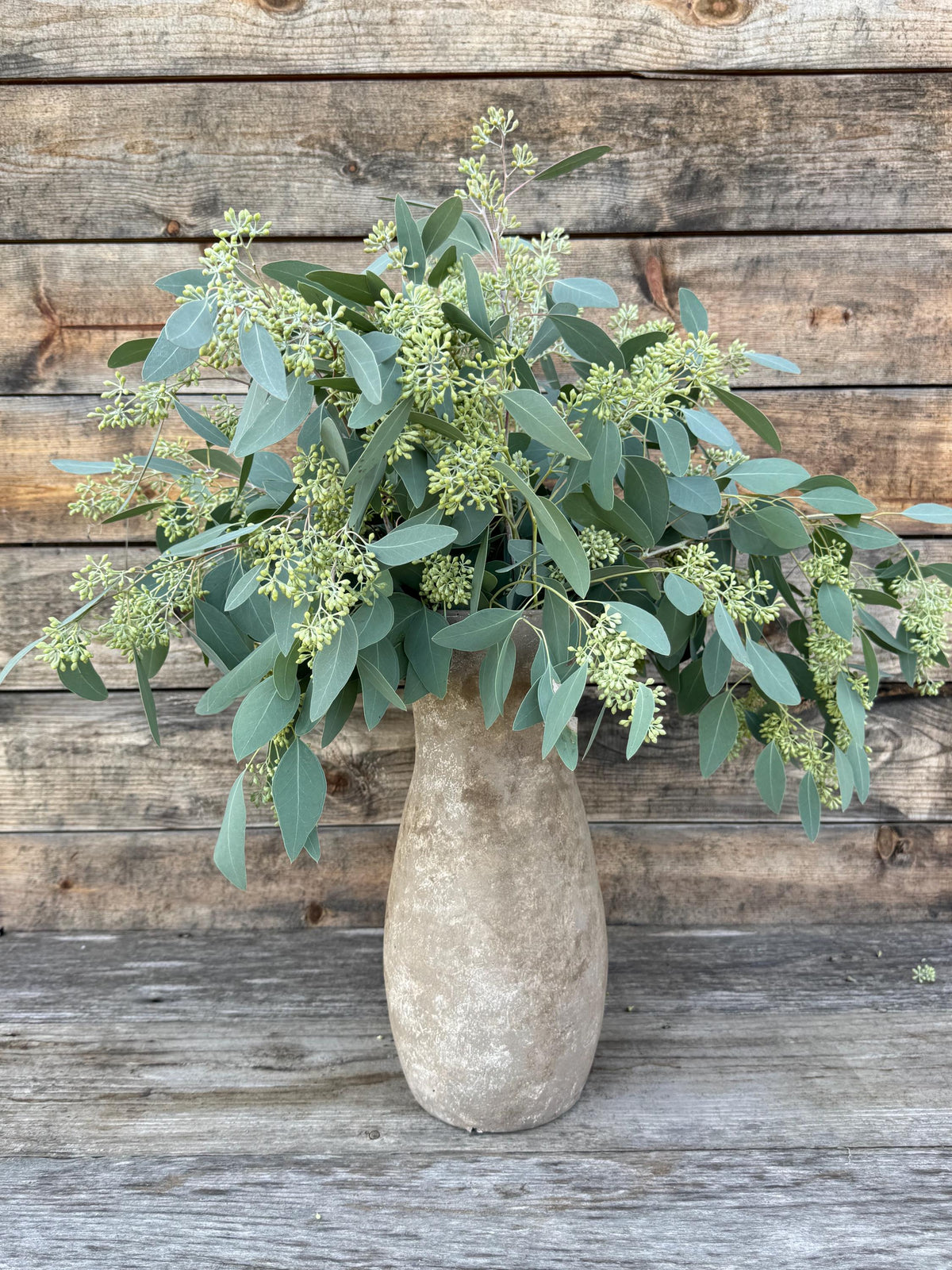 Fresh Seeded Eucalyptus Bunch, Silver Dollar, Wedding Greenery, Home Decor