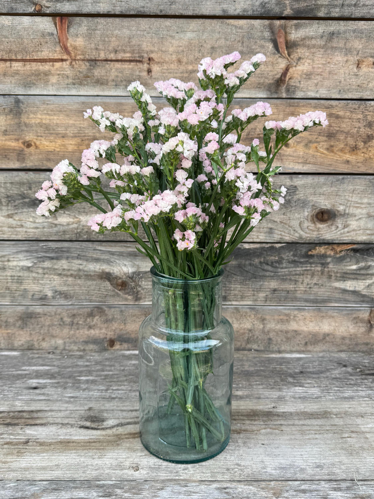 Fresh Large Cut Blush Statice Bunch – Vase Arrangements – Centerpiece