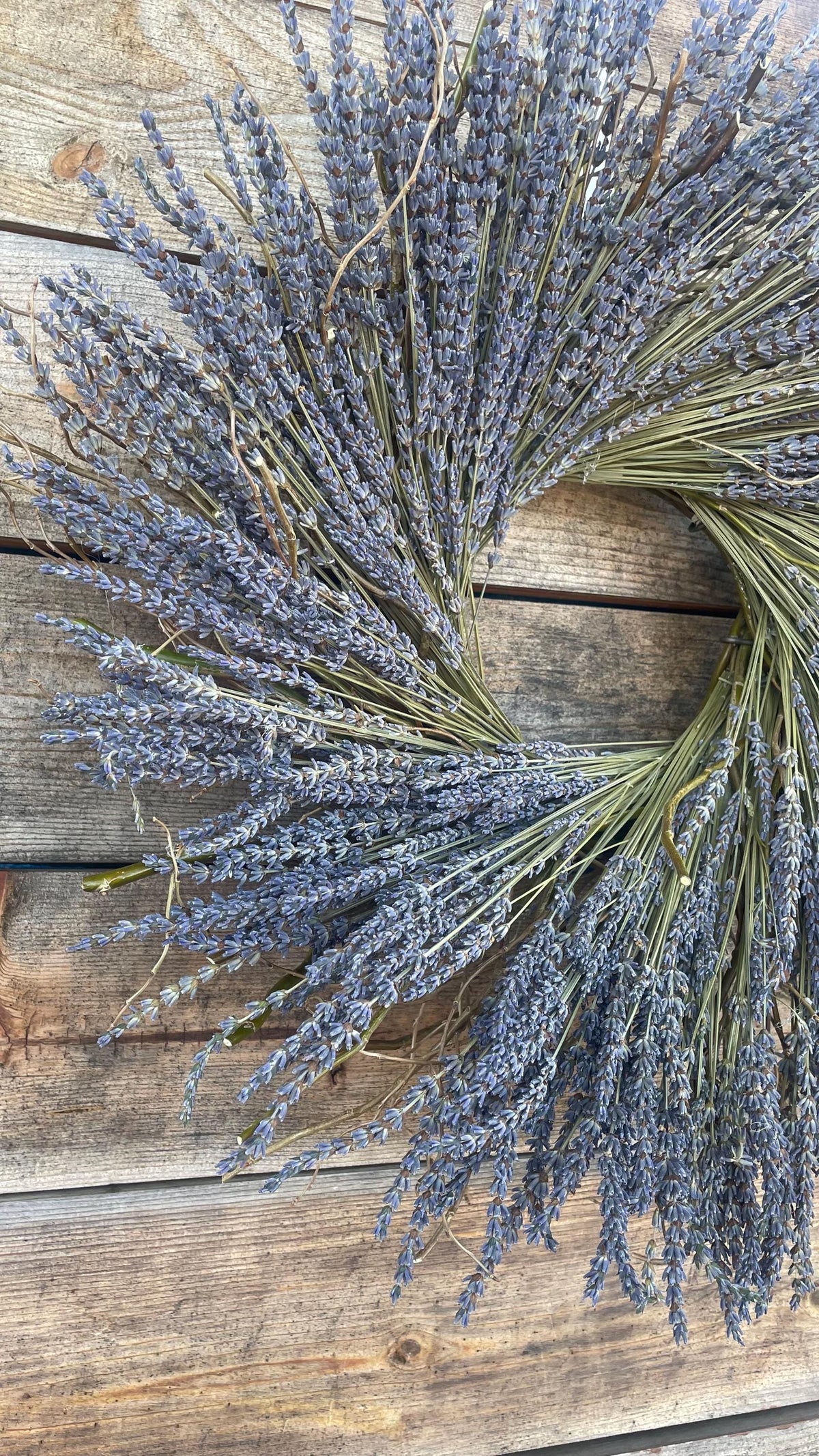 Real English Dried Lavender Wreath – Rustic Farmhouse Aromatic Centerpiece