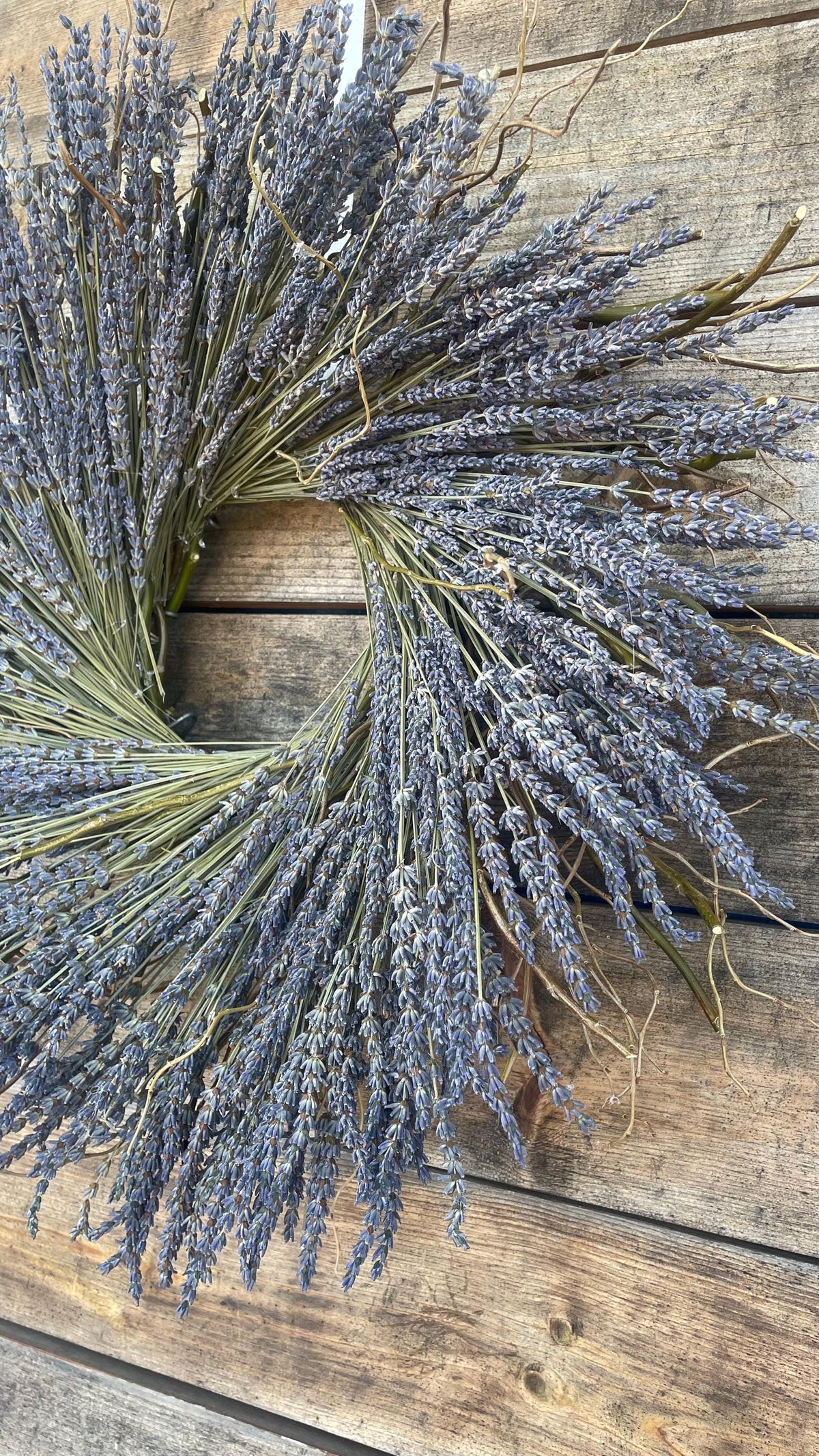 Real English Dried Lavender Wreath – Rustic Farmhouse Aromatic Centerpiece
