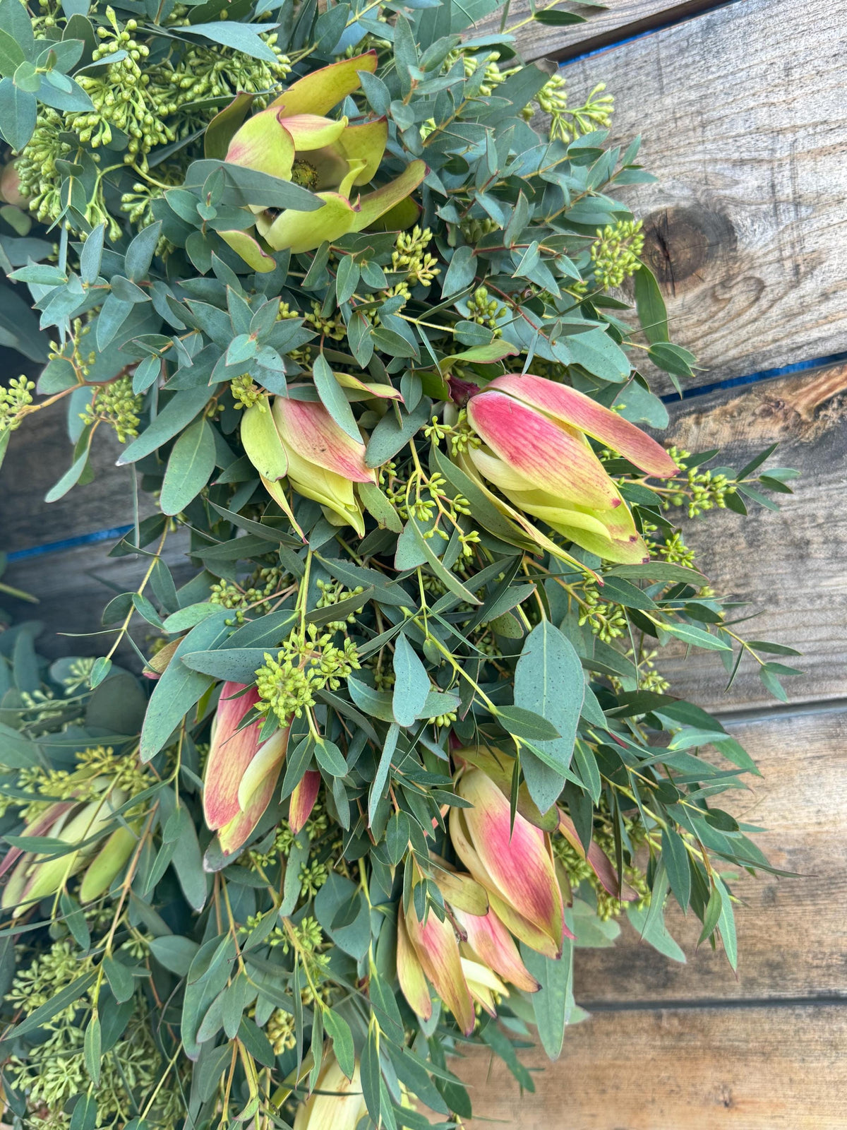 Fresh Eucalyptus & Yellow Safari Wreath – Front Door – Home Decor