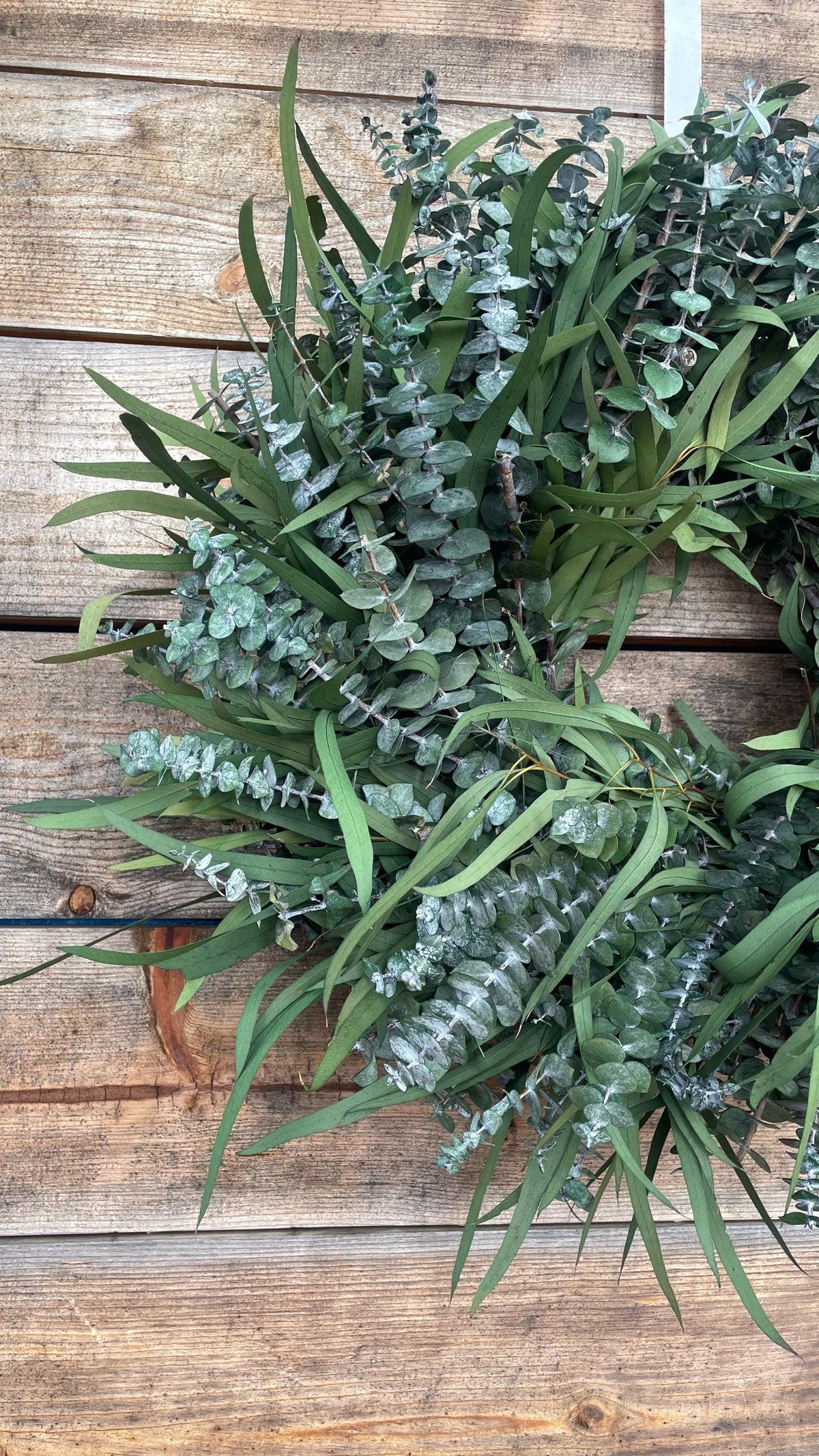 Preserved Willow Wreath – Long Lasting Eucalyptus Fall Decor