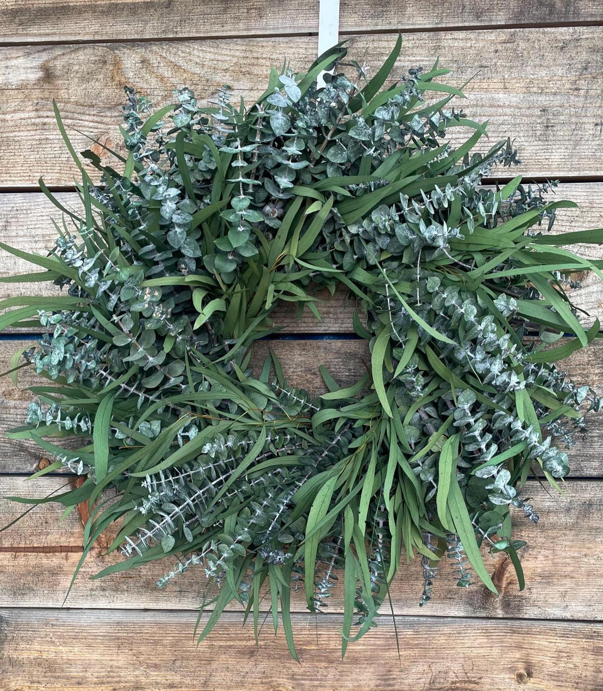 Preserved Willow Wreath – Long Lasting Eucalyptus Fall Decor