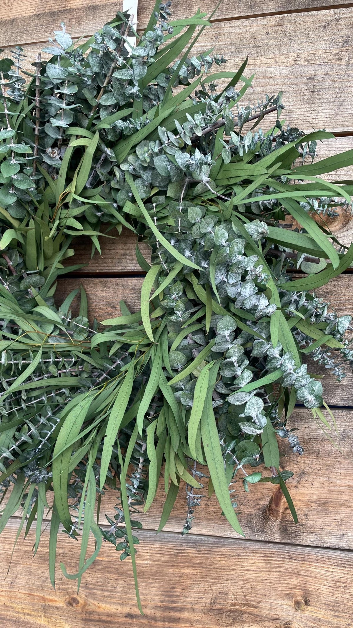Preserved Willow Wreath – Long Lasting Eucalyptus Fall Decor
