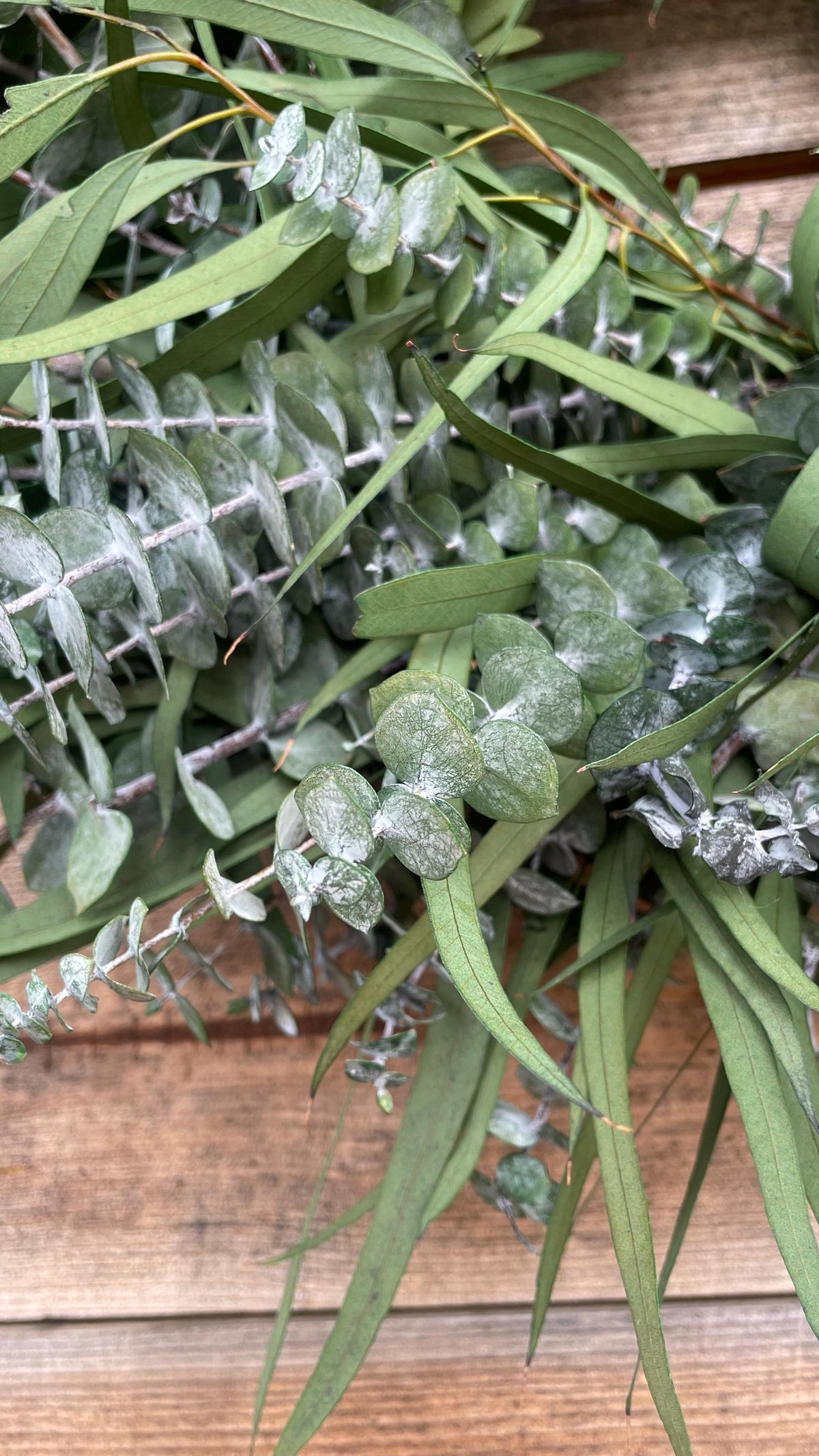 Preserved Willow Wreath – Long Lasting Eucalyptus Fall Decor