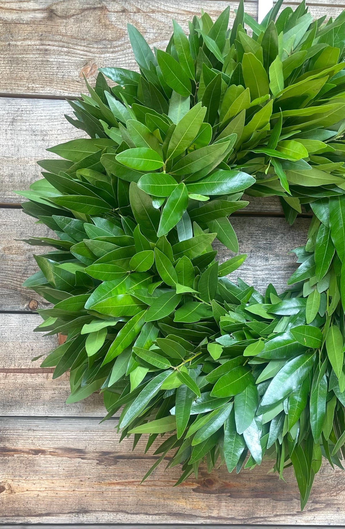 Fresh Bay Leaf Wreath – Aromatic Handcrafted Home Decor, Front Door, Fall