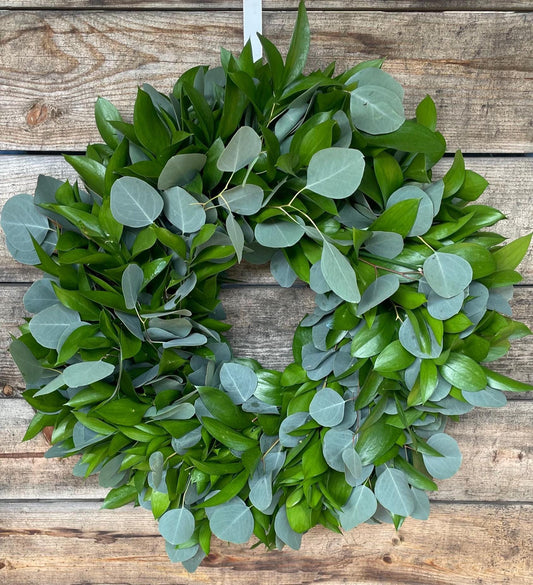 Fresh Eucalyptus Silver Dollar Wreath – Front Door Decor – Wedding