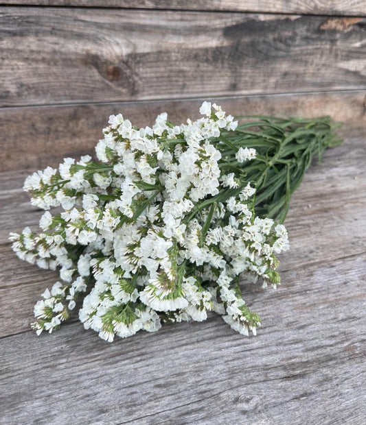 Fresh Large Cut White Statice Bunch – Vase Arrangements – Centerpiece
