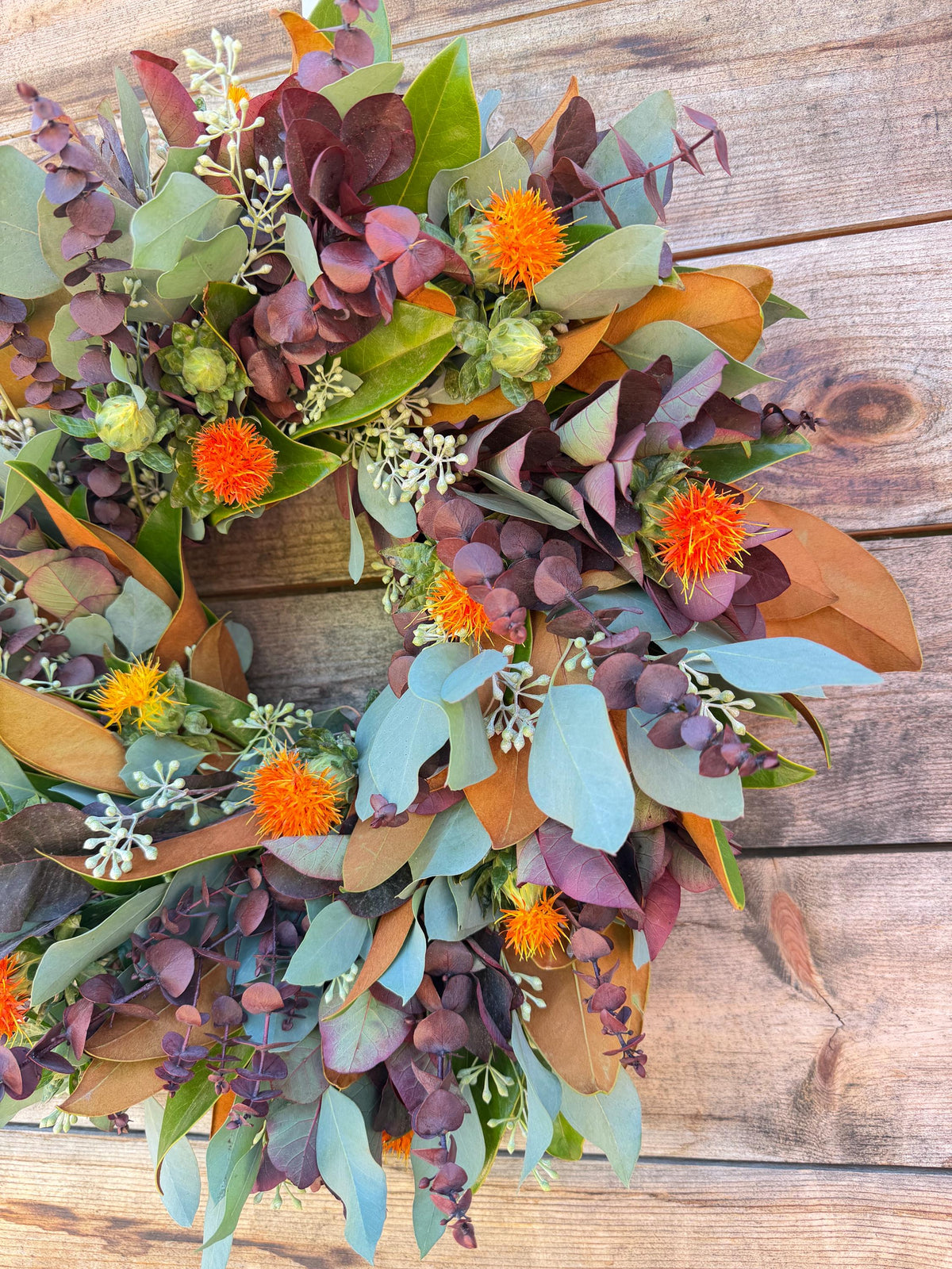 Fresh Real Magnolia Leaf, Seeded, Eucalyptus – Front Door Decor – Kitchen