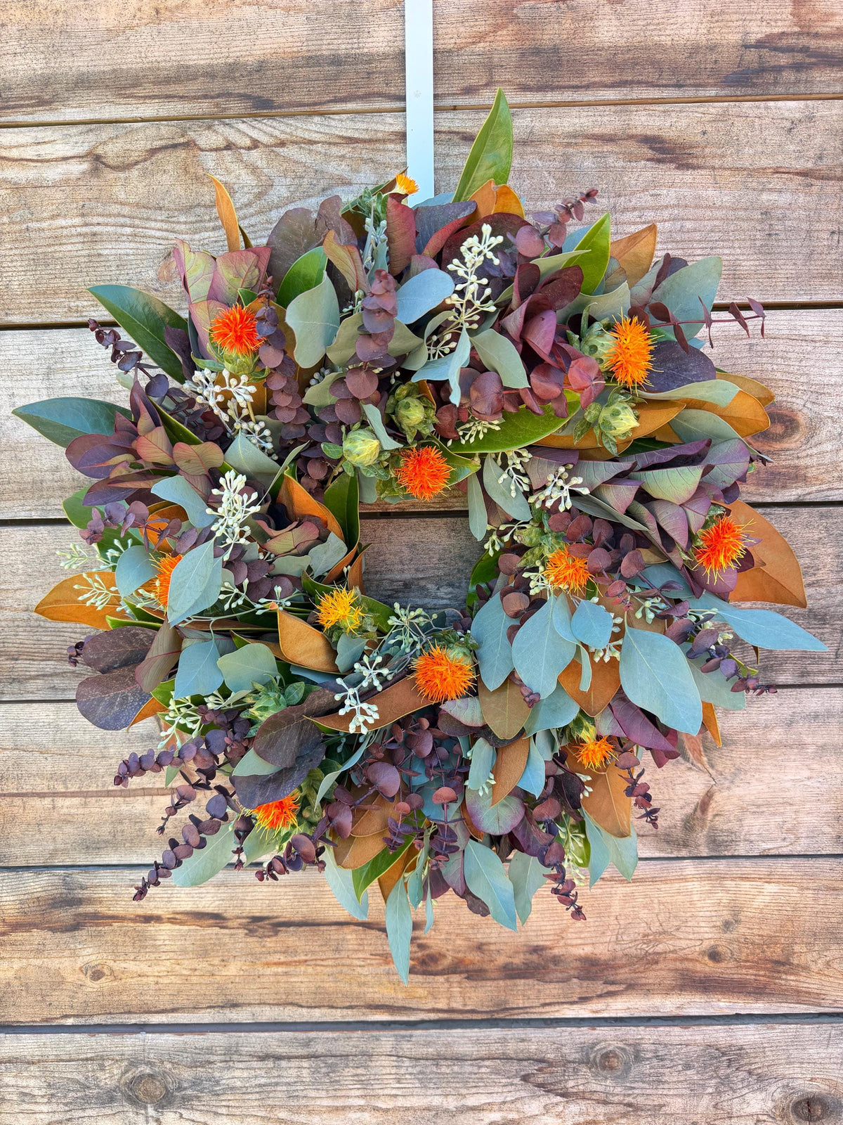 Fresh Real Magnolia Leaf, Seeded, Eucalyptus – Front Door Decor – Kitchen