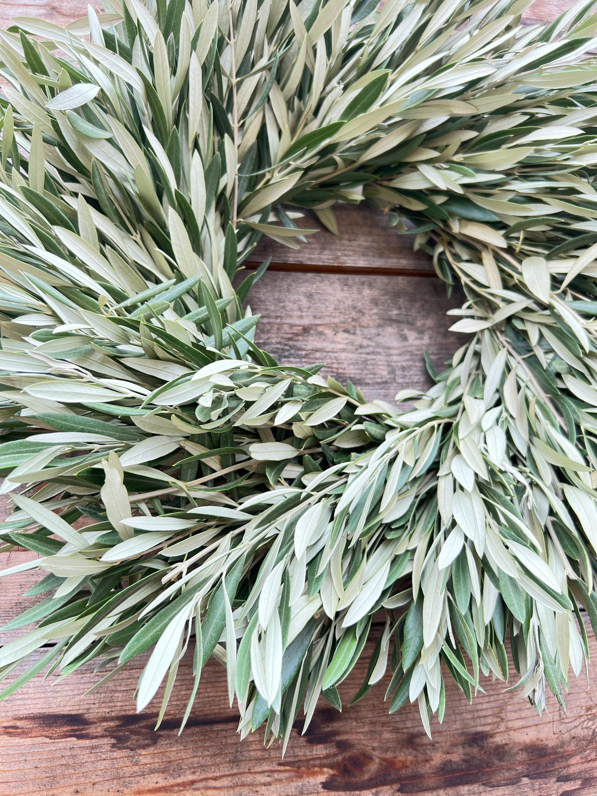 Fresh Real Olive Greenery Wreath – Farmhouse Rustic – Events