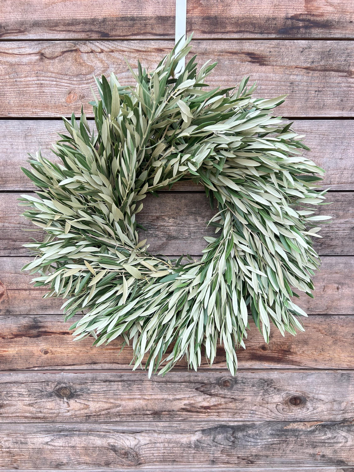 Fresh Real Olive Greenery Wreath – Farmhouse Rustic – Events