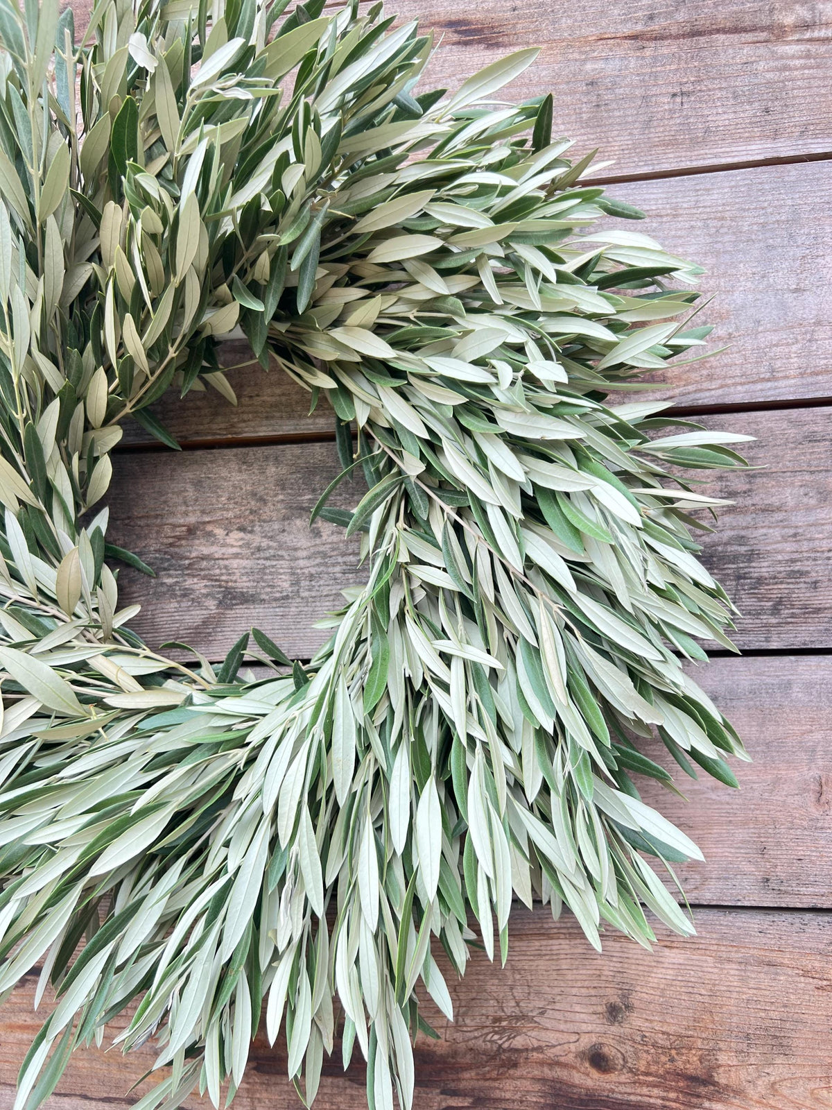 Fresh Real Olive Greenery Wreath – Farmhouse Rustic – Events